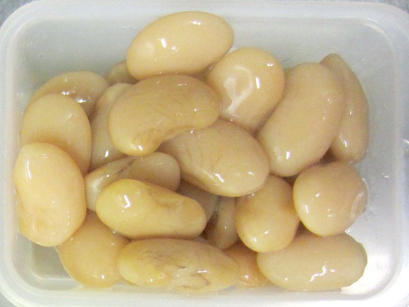 �V���o�i�C���Q��